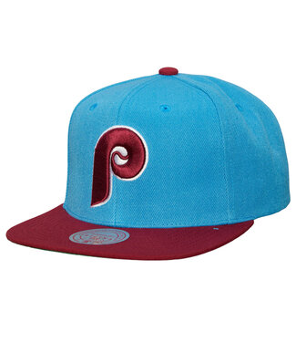 Mitchell and Ness MLB Evergreen Pro Snapback Coop Blue Jays