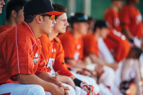 OPTIONS FOR ELITE BASEBALL PLAYERS IN CANADA