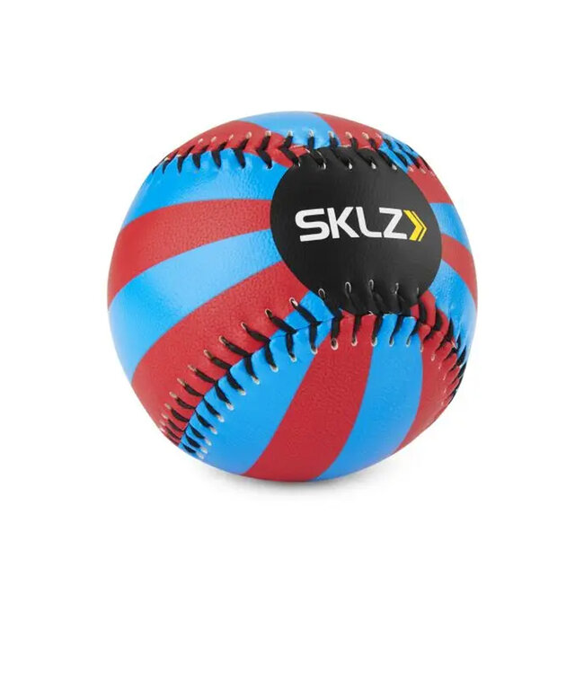 Spin Vision Baseball FES