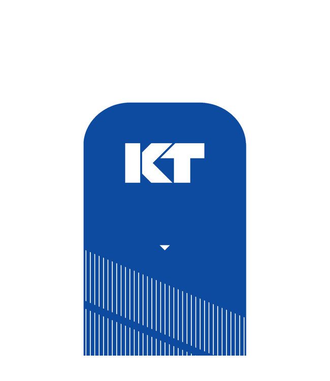 KT Tape PRO 20 Precut 25cm Strips