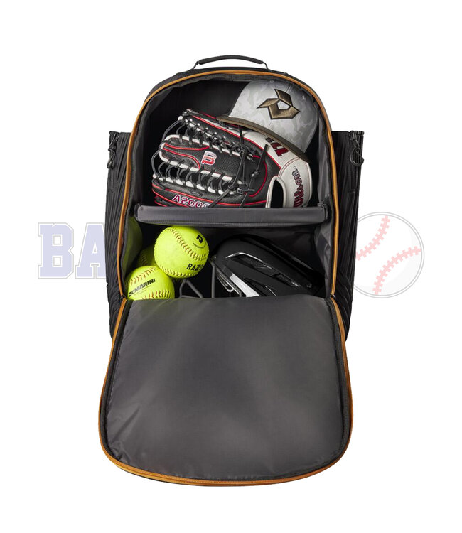 DeMarini Spectre v2 Backpack