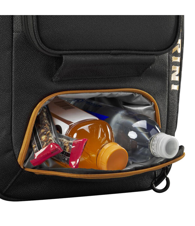 DeMarini Spectre v2 Backpack