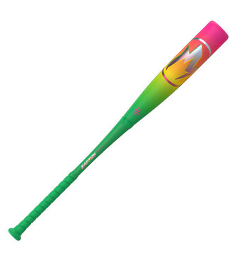 EASTON Hype Fire 2026  (-10) USABB Baseball Bat