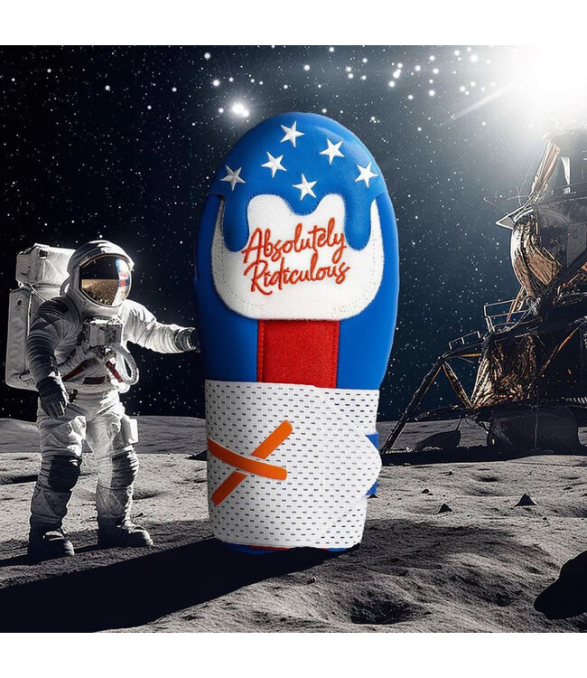 Absolutely Ridiculous USA Ice Cream Youth Sliding Mitt