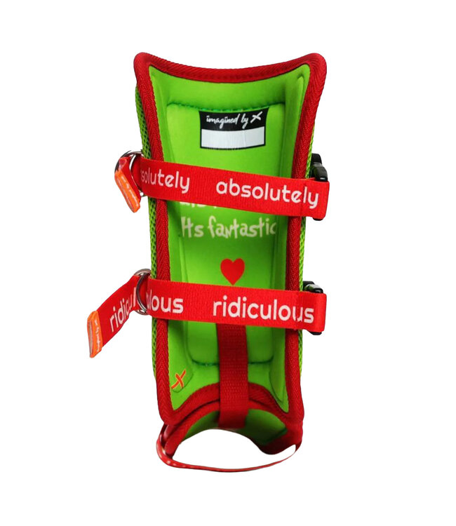 Protège-Jambe Adulte Absolutely Ridiculous A Mean One