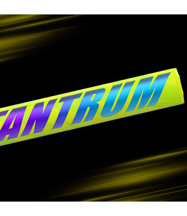 Bâton de Slowpitch Easton Tantrum 2026 USSSA 13" Balancé