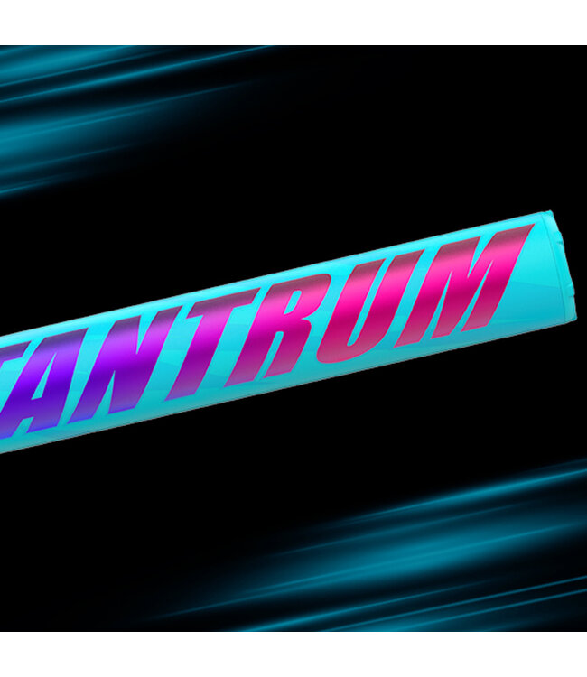 Bâton de Slowpitch Easton Tantrum 2026 USSSA 13" Loaded