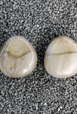 Jewelry Denaive: Zoe Varigated Cream Button Clip