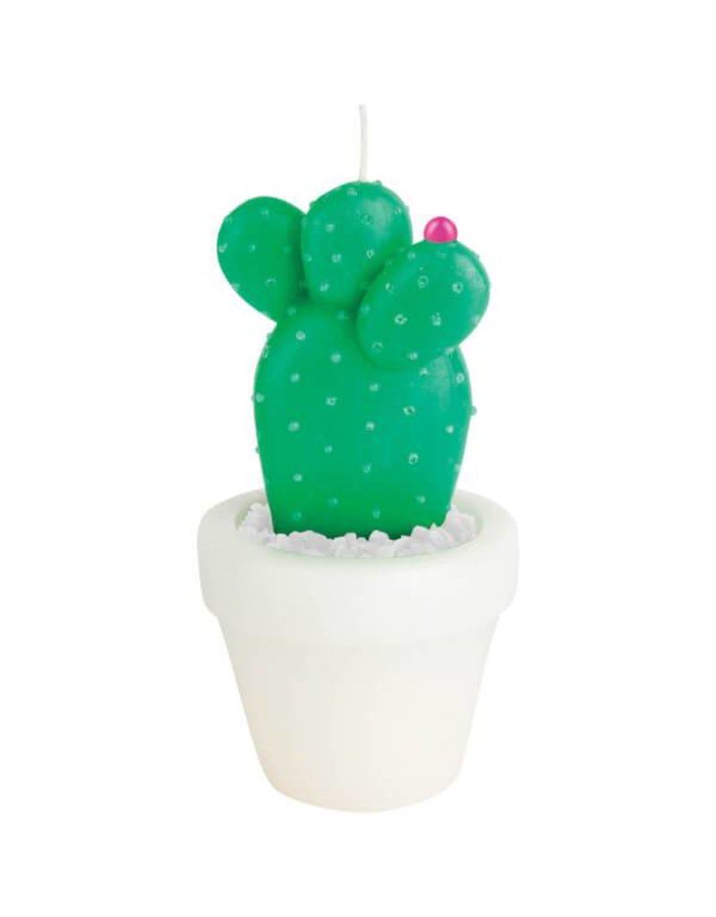 Sunny Life Sunny Life, Round Cactus, Small