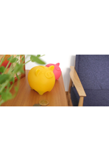 Dreams Dreams, Coink BIG