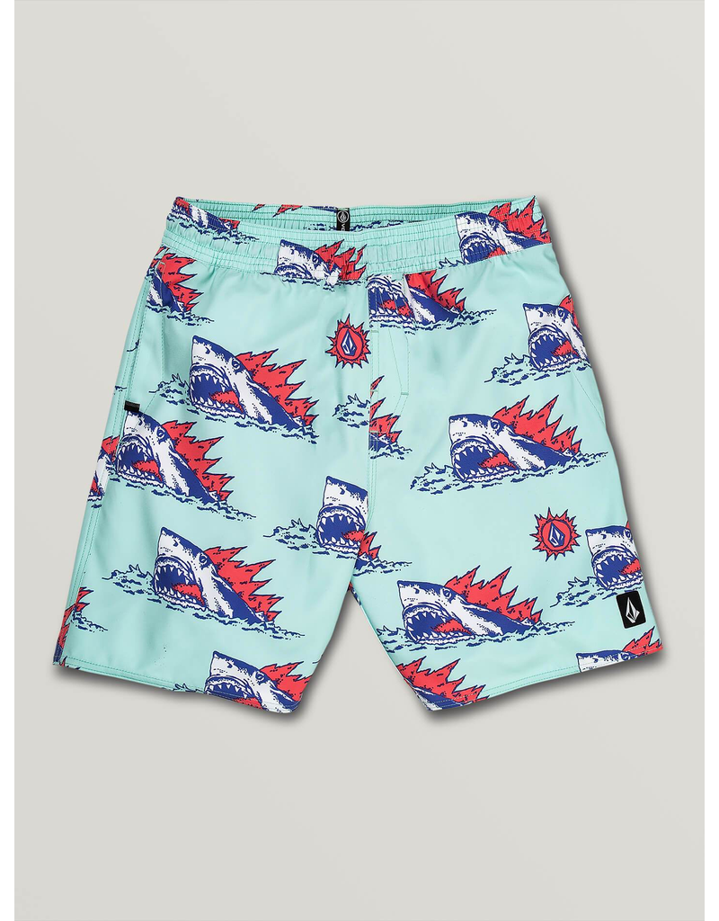 Volcom Youth Boys Duhh Dunt Trunks