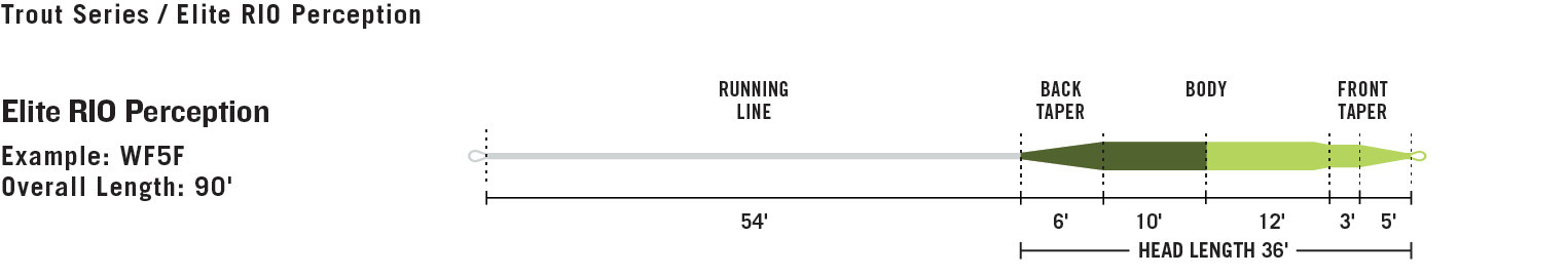 Rio Elite Rio Perception Fly Line