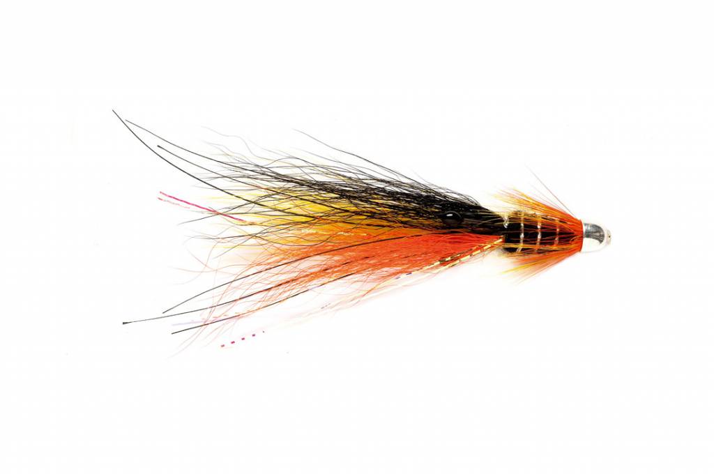 snaelda fly