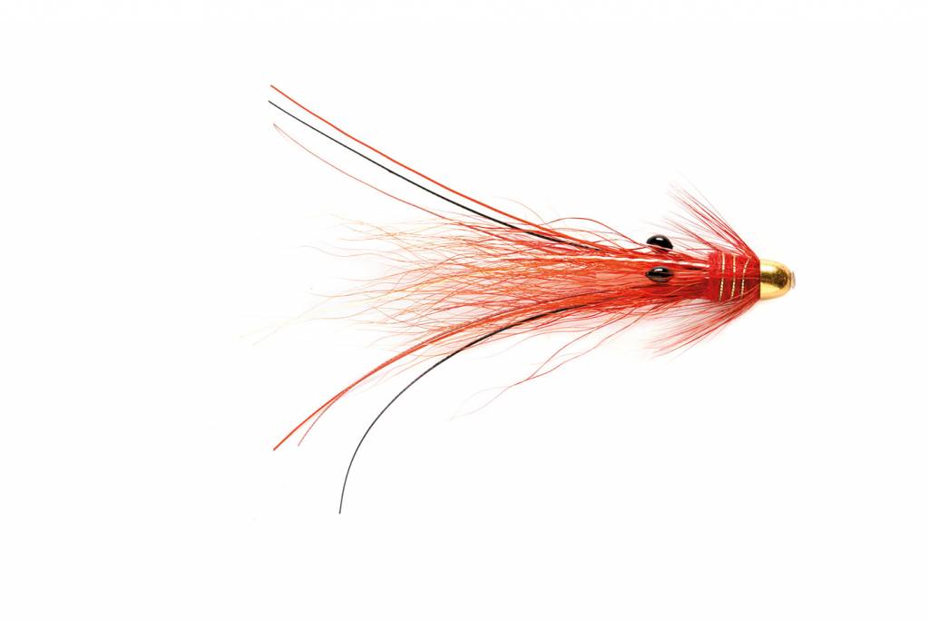 snaelda fly