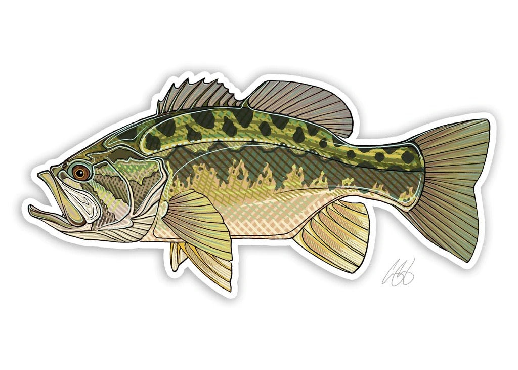 Casey Underwood Casey Underwood Fish Decals - Freshwater