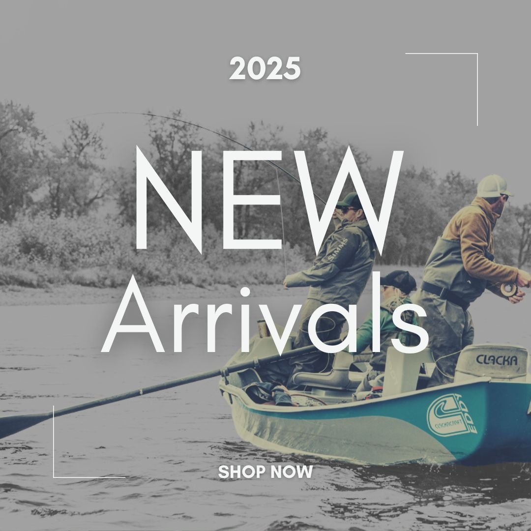 New Products