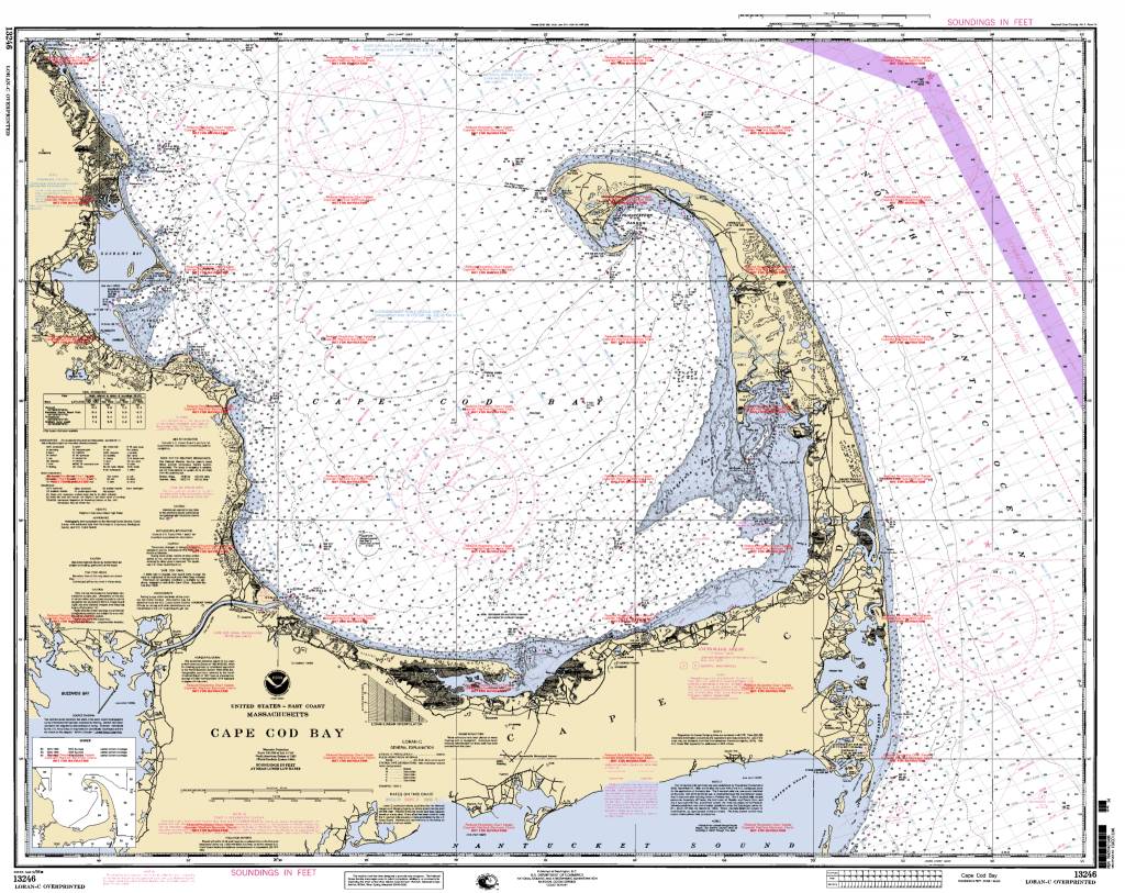 Captain Seagulls Sportfishing Charts