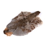 Hungarian Partridge Whole Skin