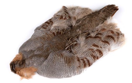 Hungarian Partridge Whole Skin