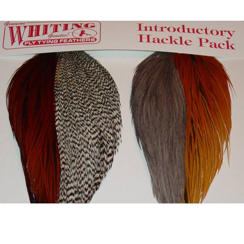 Whiting Hackle Farms Whiting Introductory Hackle Pack
