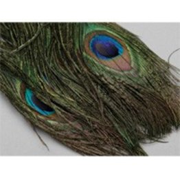 Peacock Eyes Natural