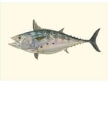 Saltwater Gamefish Card Set by Flick Ford