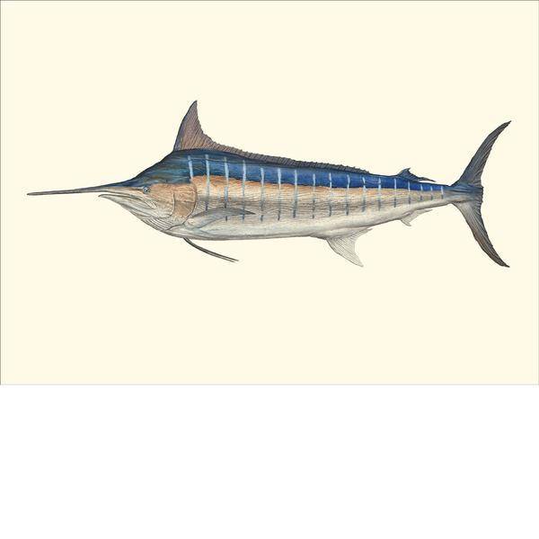 Bluewater Gamefish Card Set by Flick Ford