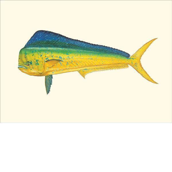 Bluewater Gamefish Card Set by Flick Ford