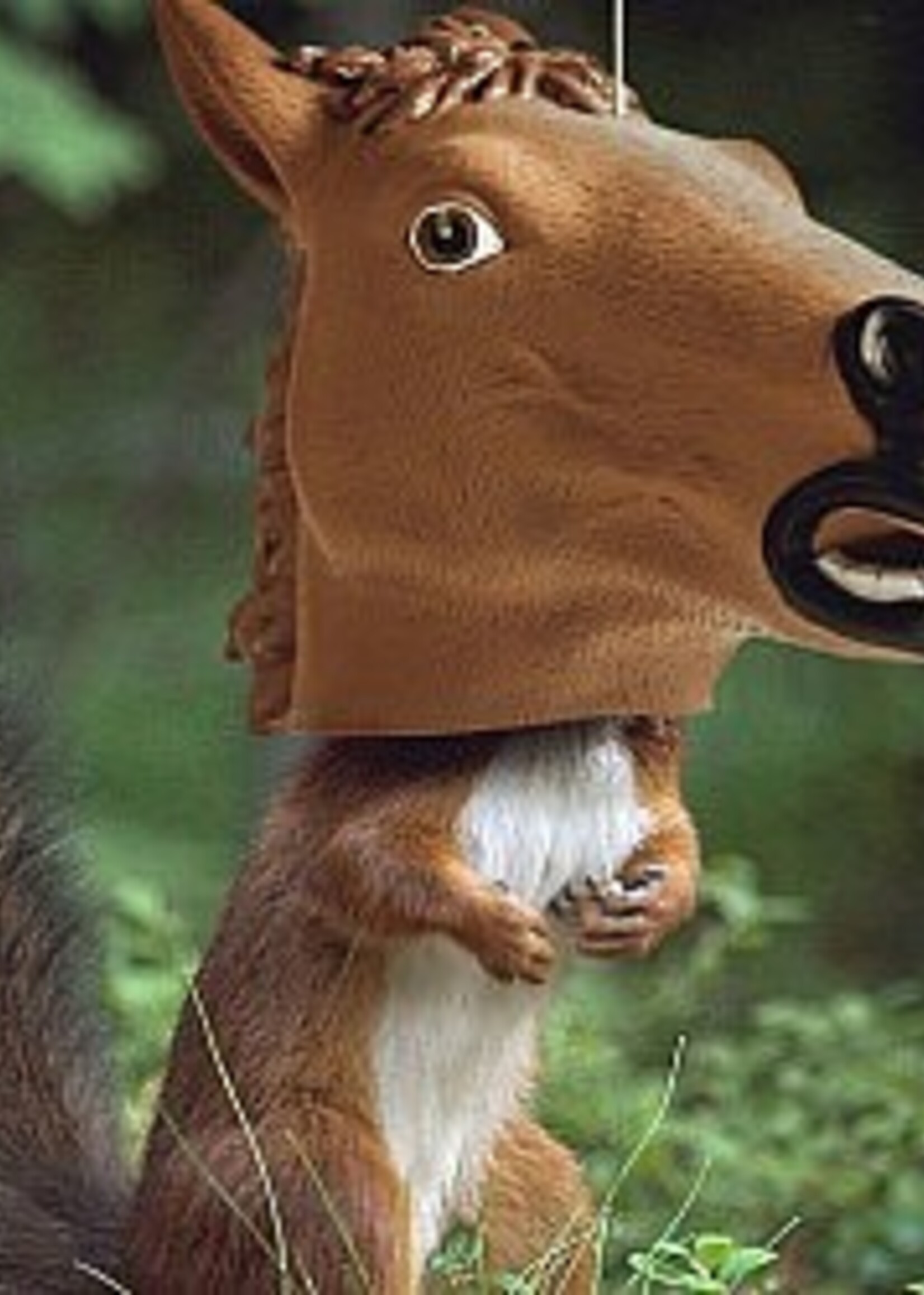 VEX-2 Red is the new Blue