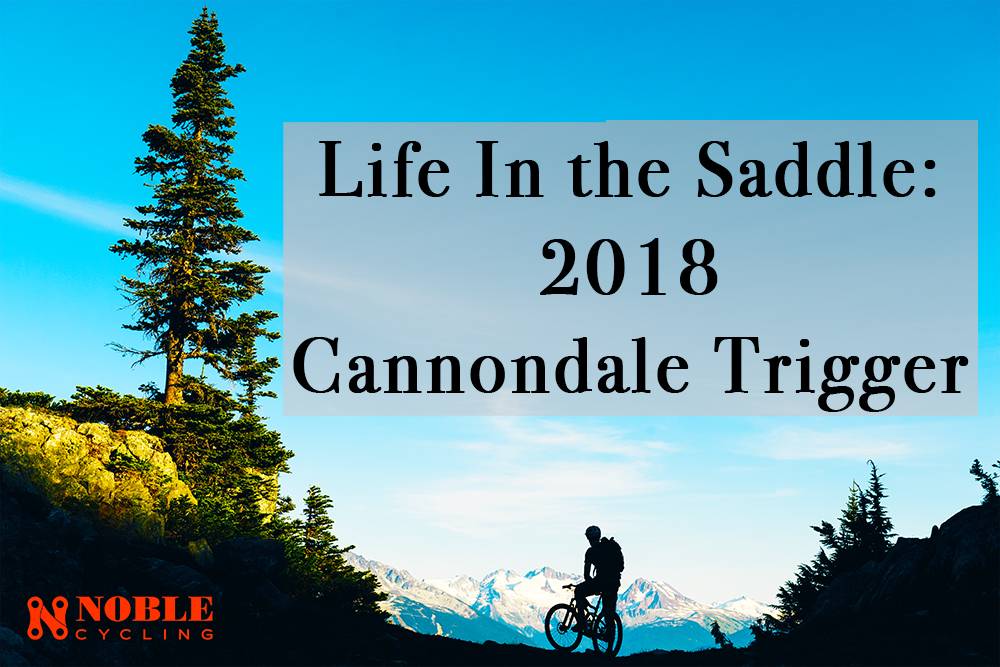 Life in the Saddle: The All & All 2018 Trigger
