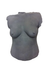 Just Sculpt Foam Female Torso (Boobs)