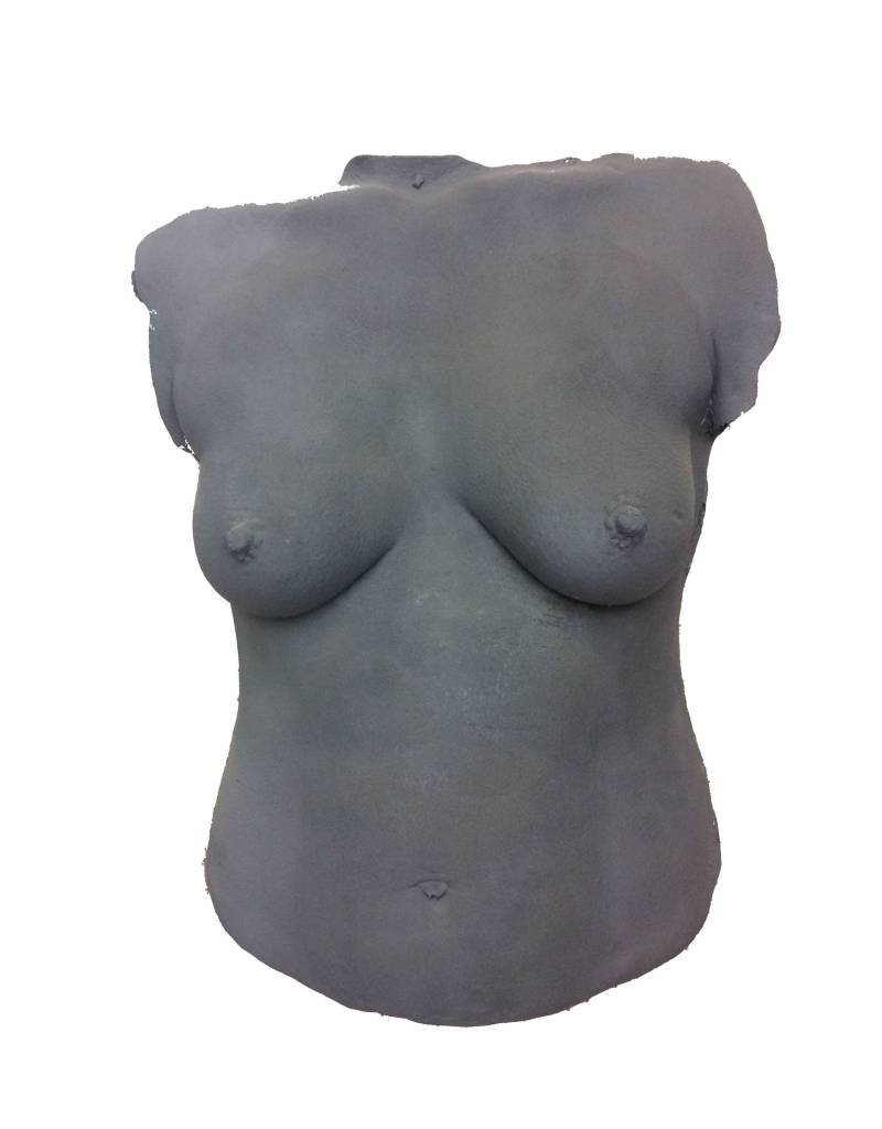 Just Sculpt Foam Female Torso (Boobs)