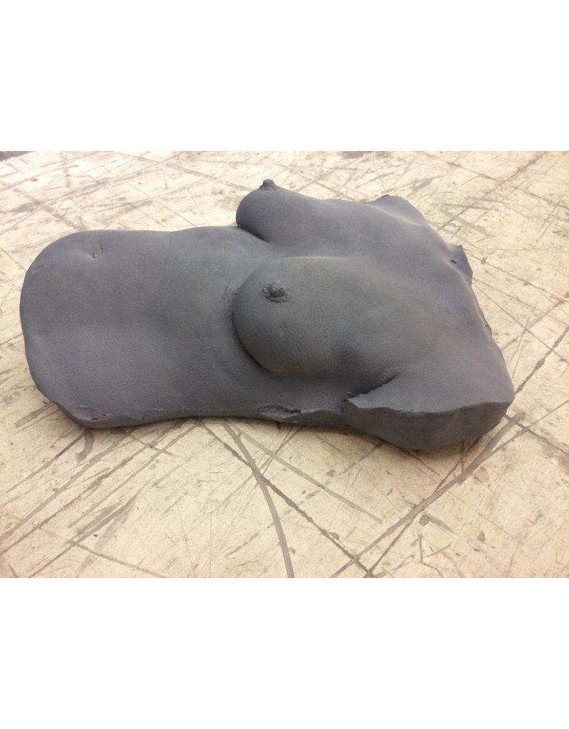 Just Sculpt Foam Female Torso (Boobs)