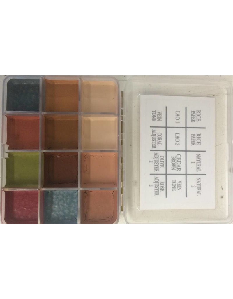 PPI On Set Skin Illustrator Fleshtone Palette