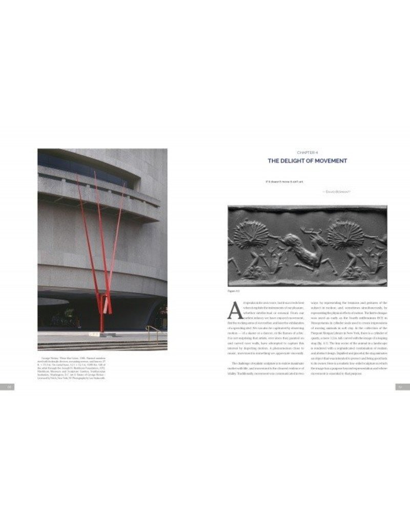 Schiffer Publishing The Experience of Modern Sculpture: A Guide to Enjoying Works of the Past 100 Years