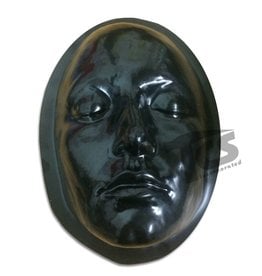 Just Sculpt Black Styrene Female Face Form For Prosthetics