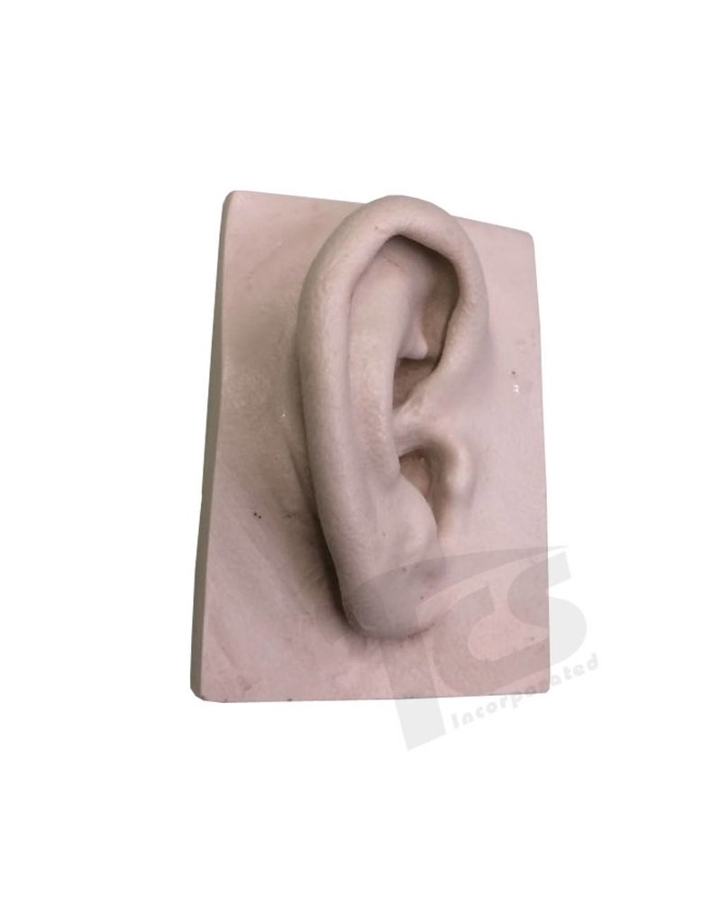 Just Sculpt Resin Ear #1 (Young)