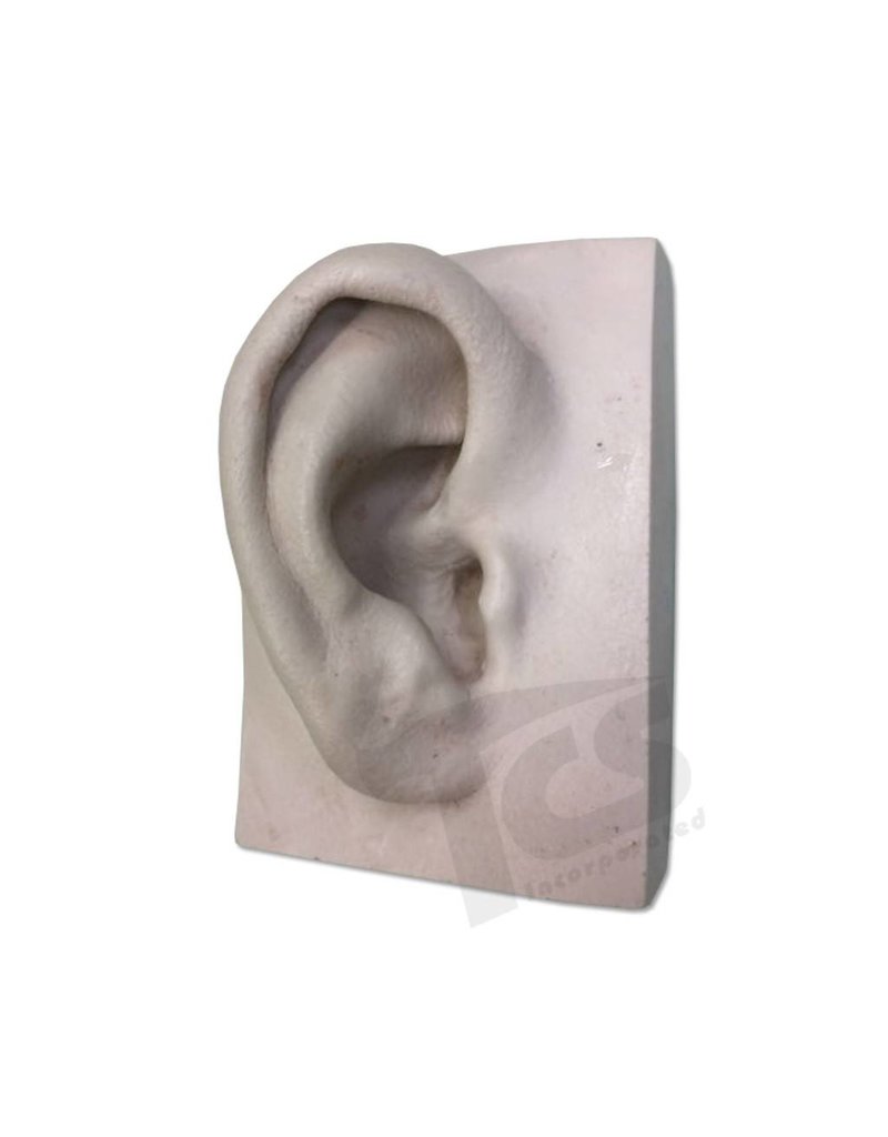 EAR1 Resin, Fabrication Supplies