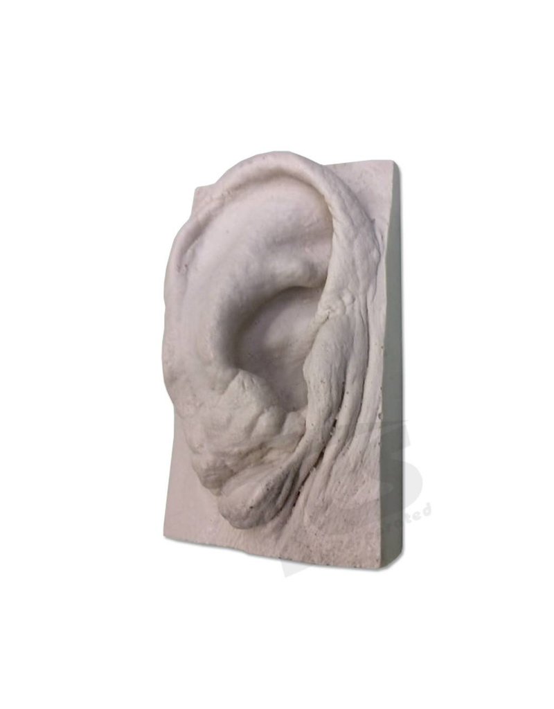 Just Sculpt Resin Ear #2 (Elderly)