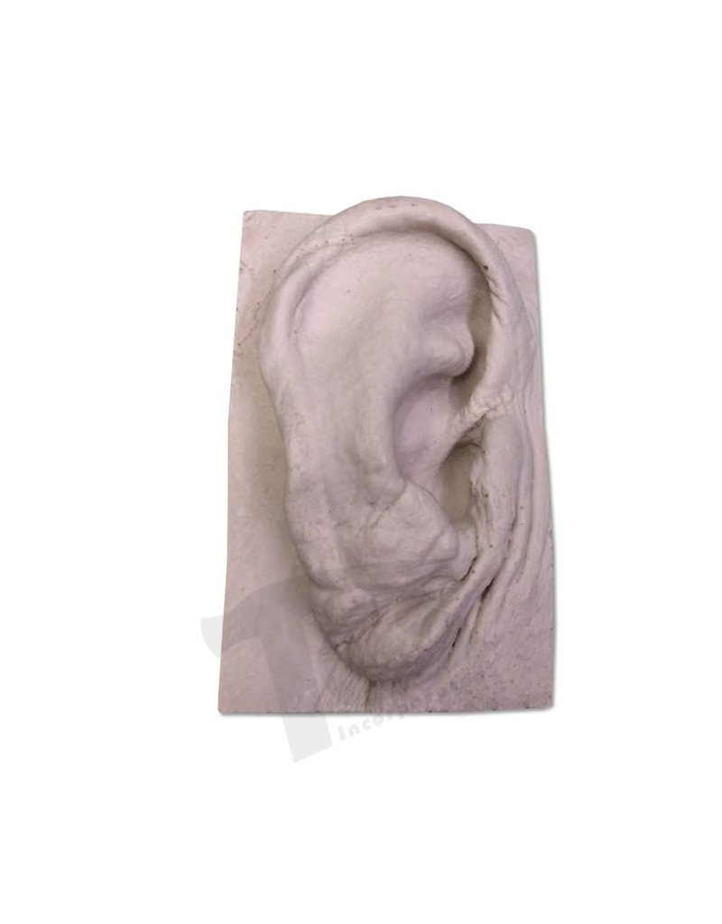 Just Sculpt Resin Ear #2 (Elderly)