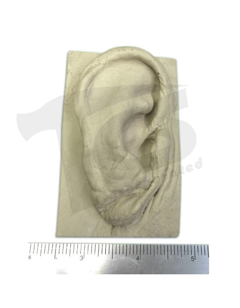 Just Sculpt Resin Ear #2 (Elderly)