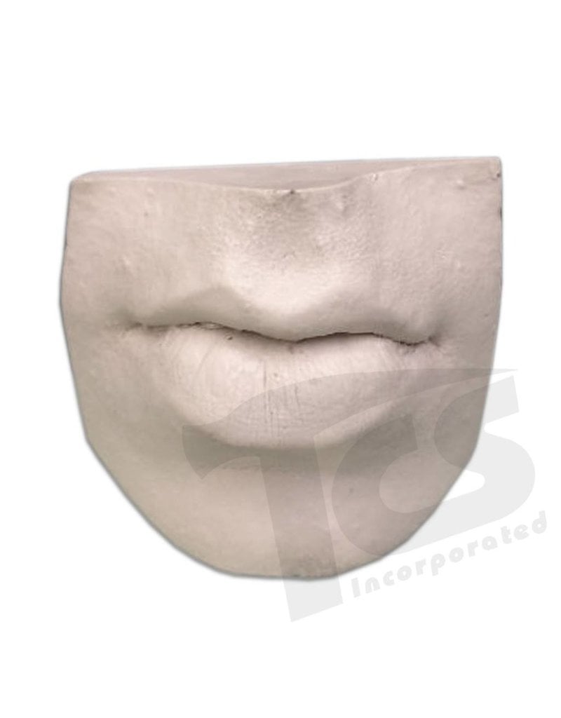 Just Sculpt Resin Mouth #3 (Pursed Lips)