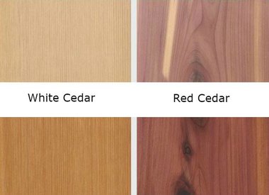 Cedar