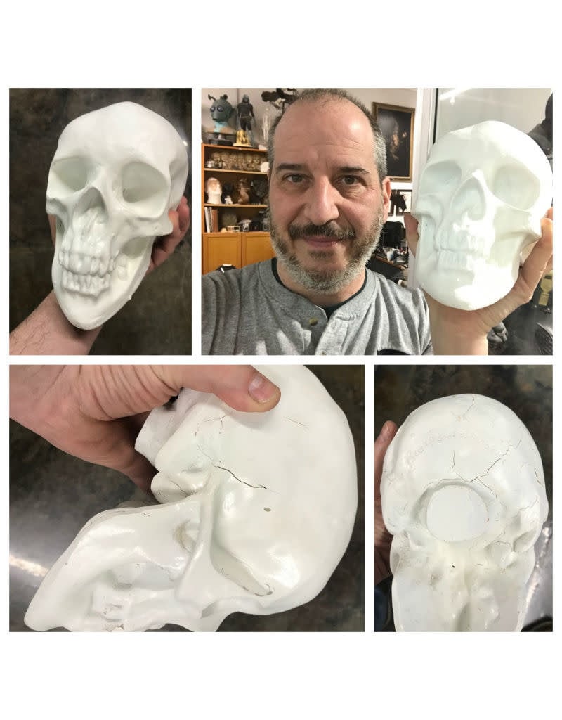 Sculpture House Second Quality Plaster Skull (Human)