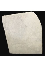 Stone 2750lb Carrara Bianco blue/gray 48x41x16 #341016