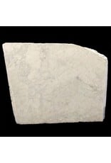 Stone 3420lb Carrara Bianco blue/gray 52x41x16 #341018