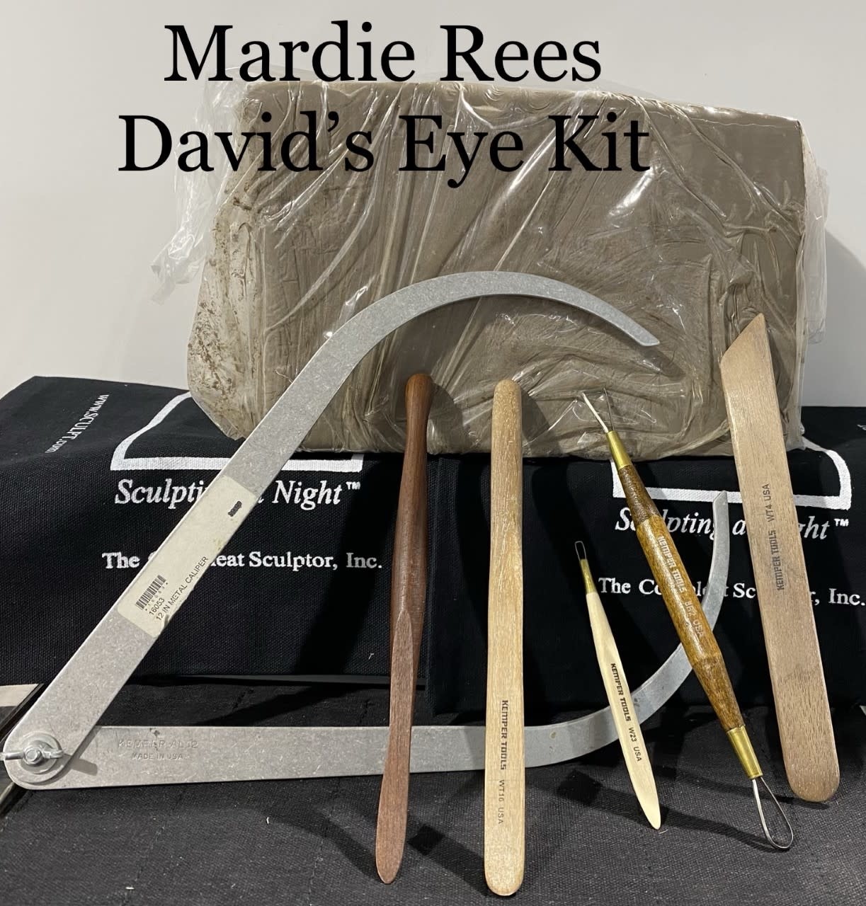 Mardie Rees David Ear Sculpting Kit - Water Based - The Compleat Sculptor