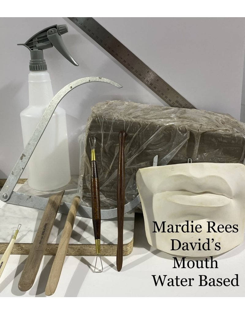 Just Sculpt Mardie Rees David Mouth Sculpting Kit - Water Based