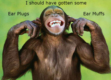 Muffs & Plugs