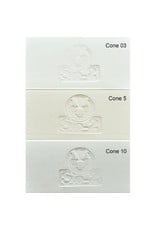 SIO-2 PRAI White Stoneware Clay 27.6lb (Cone 6 - 10)